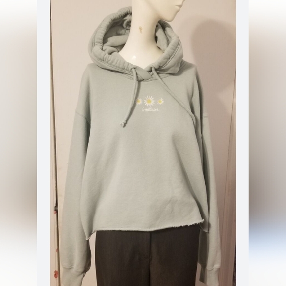 Hollister Cropped Hoodie - Picture 9 of 16